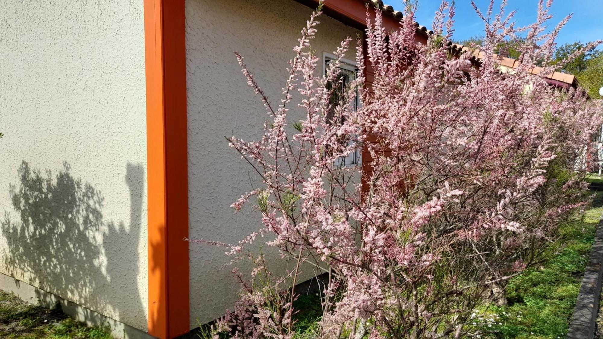 Residence Mes Amours D'Enfants - Les Villas Du Lac Soustons Bagian luar foto